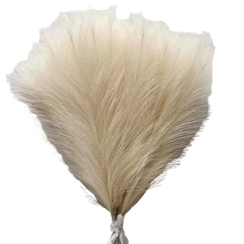 LCHENJIDG 10 Simulation farbiges Reed Gras, weich Fluffy künstliche Paprika Länge 15,75 Zoll für Wohnzimmer Party Hochzeit, Home Center Dekoration von LCHENJIDG