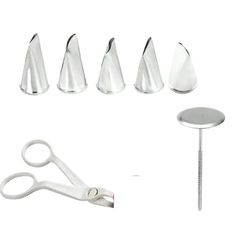 LCKKJHG SpritztüLlen-Set 7pcs Baking Pastry Tool Set Stainless Steel Rose Petal Leaves Nozzles Cake Decorating Tips Tulip Flower Scissor von LCKKJHG