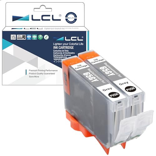LCL Kompatibel Tintenpatrone CLI65 CLI-65 GY CLI-65GY (2-Pack Pigment Grau) Kompatibel für Canon PIXMA PRO-200 von LCL