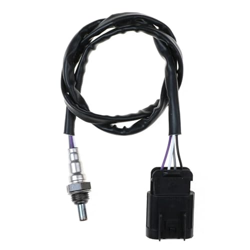 NOx-Sensor 55213261A Vorne O2 Sauerstoff Sensor Fit Für EB187 2014 14 DUCATI HYPERMOTARD SP Abgassensor NOx NOx-Sensor 55213261A Vorne O2 Sauerstoff Sensor Fit Für EB187 2014 14 DUCATI HYPERMOTARD SP Abgassensor NOx von LCQSYE