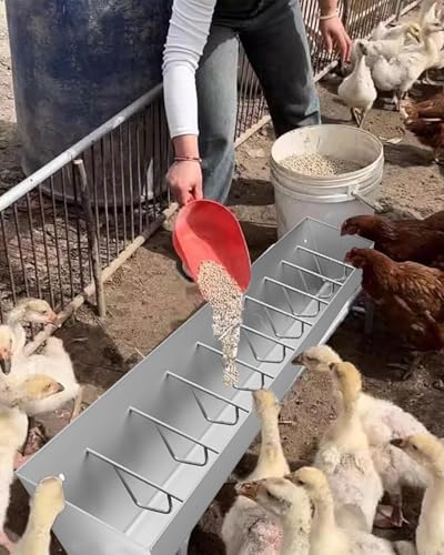 Futtertrog für Nutztiere Schweinefütterer, verstellbar, 1,0–2,0 m, langlebige und effiziente Fütterungslösung(78.7"/6.5ft/10bit) von LCUVIMPEX