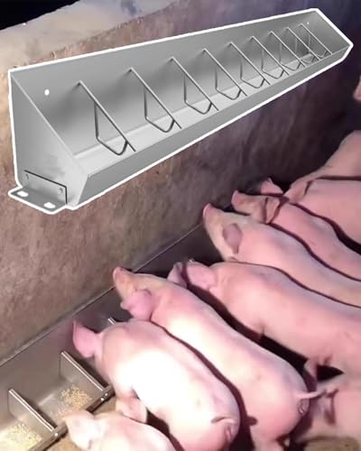 Futtertrog für Nutztiere Schweinefütterer mit 5–10 Kartenfächern(10 Card Slots) von LCUVIMPEX