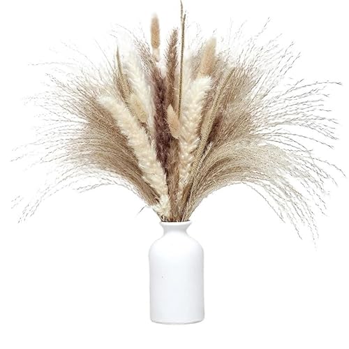 Pam bläst. Packung mit 80 getrockneten Pampasgras-Stängeln zur Heimdekoration(80pcs No Vase E) von LCUVIMPEX