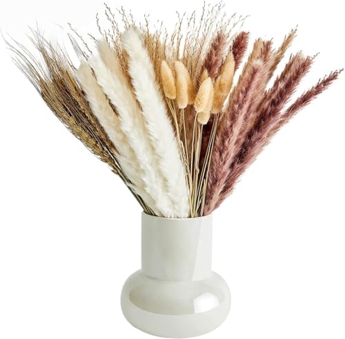 Pam bläst. Packung mit 80 getrockneten Pampasgras-Stängeln zur Heimdekoration(80pcs No Vase F) von LCUVIMPEX