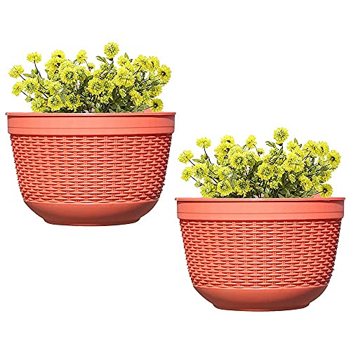 LCWWW Papagei Decke Flannel Sofadecke Strandtuch Teppich Picknickdecke Weich Umhang Für Schlafzimmer, Alle Jahreszeiten 140×180cm von LCWWW