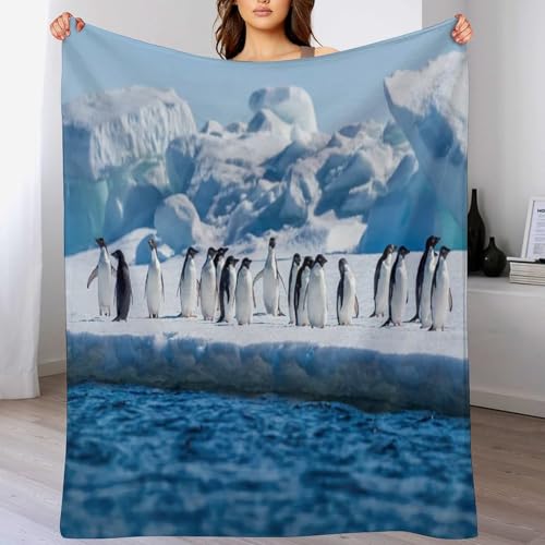 LCWWW Pinguin Decke Flannel Sofadecke Strandtuch Teppich Picknickdecke Weich Umhang Für Schlafzimmer, Alle Jahreszeiten 180×200cm von LCWWW