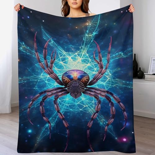 LCWWW Spinne Decke Flannel Sofadecke Strandtuch Teppich Picknickdecke Weich Umhang Für Schlafzimmer, Alle Jahreszeiten 150×200cm von LCWWW