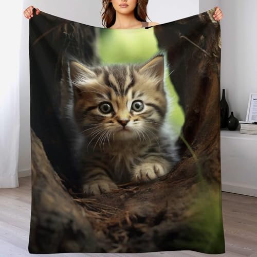 LCWWW Tier Katze Decke Flannel Sofadecke Strandtuch Teppich Picknickdecke Weich Umhang Für Schlafzimmer, Alle Jahreszeiten 130×180cm von LCWWW