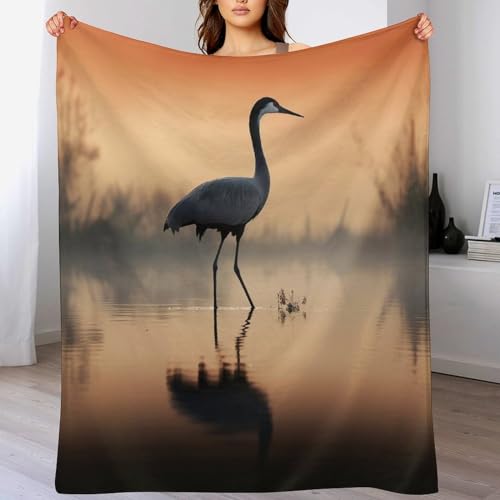LCWWW Tier Kran Decke Vier Jahreszeiten Bett Wohndecke Sofadecke Couchdecke Flannel Sofaüberwurf Weich Und Flauschig Fleecedecke 130×150cm von LCWWW