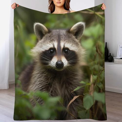 LCWWW Tierwaschbär Decke Vier Jahreszeiten Wohndecke Couchdecke Weiche Fleecedecke Flannel Sofaüberwurf Tagesdecke Für Bett/Sofa 100×130cm von LCWWW