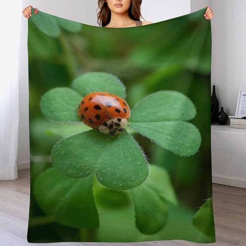 Marienkäfer Dick Decke Weich Wärme Gemütlich Flannel-Fleece Sofadecke Deckeldecke 3D Bilder Wohndecke Für Bett/Sofa 130×180cm Marienkäfer Dick Decke Weich Wärme Gemütlich Flannel-Fleece Sofadecke Deckeldecke 3D Bilder Wohndecke Für Bett/Sofa 130×180cm von LCWWW