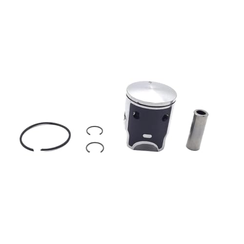 50ccm Motor Teile kompatibel mit 50 SX 50SX -Motorrad Beinhaltet Luftzylinderblockkopfbedeckungsküste Kolbenringlagerdichtung Dichtung Dichtung(Piston Rings Kit) von LCYSXTFZ