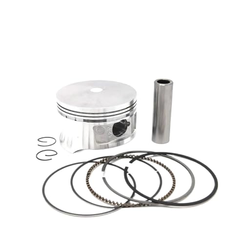 72 mm Kolbenringdichtung CF250 CF172 kompatibel mit 250ccm ATV -Buggy -Roller -Teilen für CH250 CN250 und ähnliche Modelle wie Jonway Kazuma Znen Kinload(Piston) von LCYSXTFZ