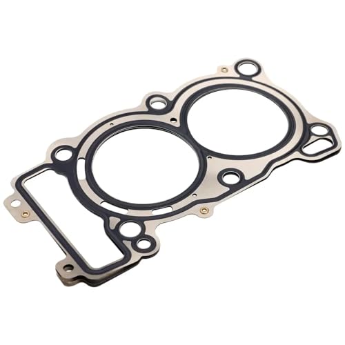 Motorradmotor-Zylinder-Kopfkurbelabdeckungsdichtung mit 500 Trail 2017-2022 2017-2020 Modelle kompatibel(Cylinder Head Gasket) von LCYSXTFZ