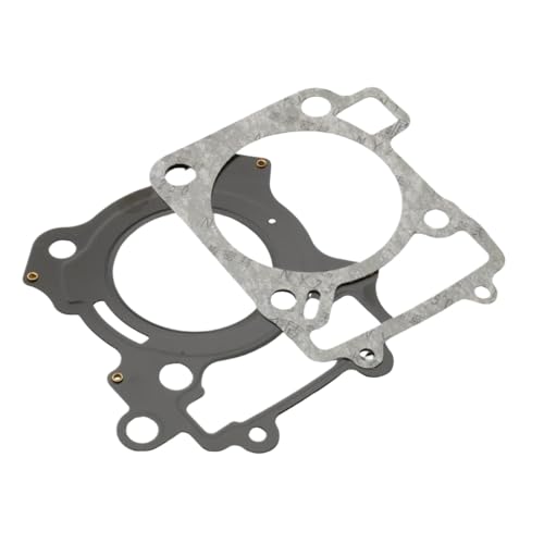 Motorradzylinderdichtung mit Pulsar 200 ns rouser 200 ns als RS für die Teilenummer JL521002 JL511022 kompatibel Motorradzylinderdichtung mit Pulsar 200 ns rouser 200 ns als RS für die Teilenummer JL521002 JL511022 kompatibel von LCYSXTFZ