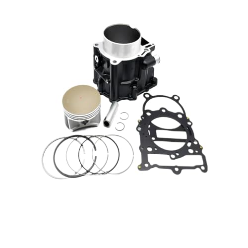 Zylinderüberholung Rebuild End kompatibel mit F650CS G650GS G650X F650 F650GS Motorradteile 1111700201 von LCYSXTFZ