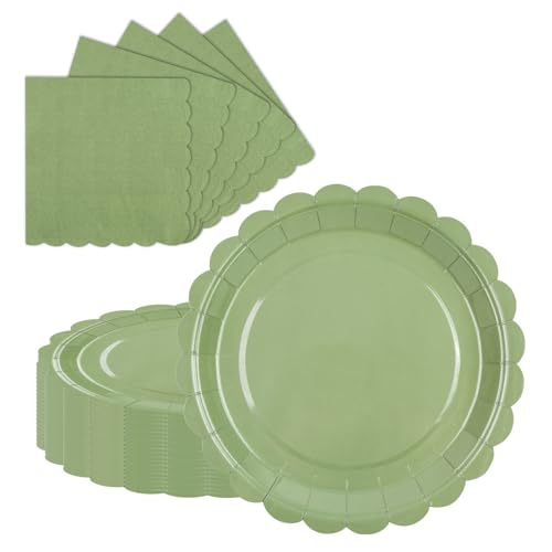 LDFDRT Partygeschirr Geburtstag Pappteller and Servietten,Partyteller 23cm 20 pcs & Servietten 20pcs Papier Party Geschirr zum Hochzeit Garten Party Deko (Salbei grün) von LDFDRT