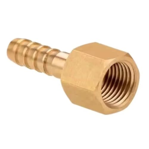 1/8 "1/4" 3/8 "1/2" weiblich x 1/8 3/16 "5/16" 3/8 1/2 Zoll Schlauch Barb Hosetail Messing Rohr Fitting Anschluss(Female,1L2 NPT TO 1L2 INCH_5 PCS) von LDHNFBYV