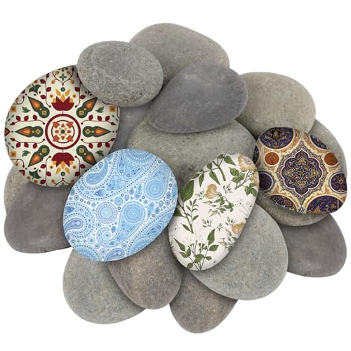 LDXDRU 20 Stück 5-8cm Groß Flache Steine zum Bemalen, Natürlicher Dekosteine Flach Kieselsteine zum Basteln Malsteine Strand Kiesel für Mandala Bemalen,Zen Garten,Blumentöpfen und Aquarien von LDXDRU