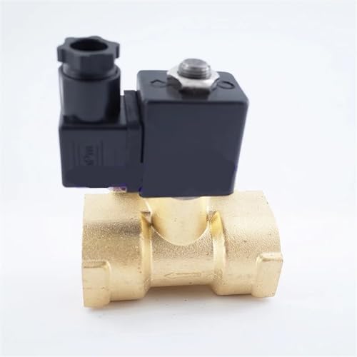 2-Wege-Membran-Magnetventil mit normaler Schließung 0927700 1,6 Mpa Messing elektrisch 2 Zoll DN50(AC220V-NBR SEAL) von LDXMJZOT