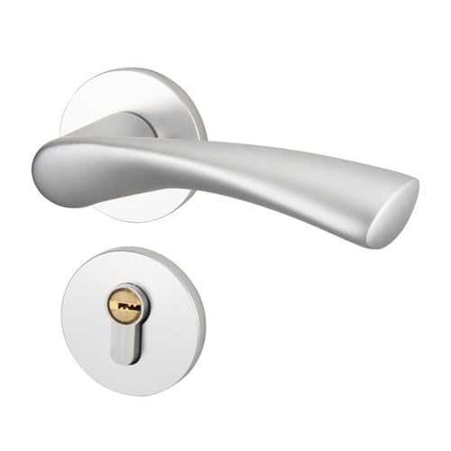 Raumfahrt-Innentürschloss aus Aluminium, modern, minimalistisch, Schlafzimmer-Türgriff, schwarz, geteilt, leise, Zimmertürschloss (53509 Silber) von LDXMJZOT