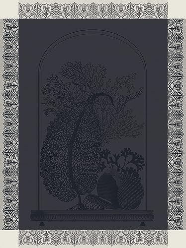LE JACQUARD FRANÇAIS 28997 Geschirrtuch Curiosites Minerales Charbon 60x80 cm Baumwolle von LE JACQUARD FRANÇAIS