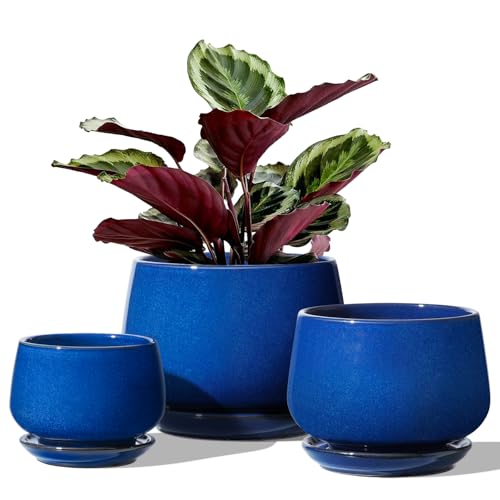 LE TAUCI 3er Set Keramik Blumentöpfe, 10/13/16 cm Durchmesser Klein Blumentöpfe Set, Übertöpfe für Zimmerpflanzen, Pflanztöpfe mit Untersetzer und Abflussloch, Schatz Blau von LE TAUCI