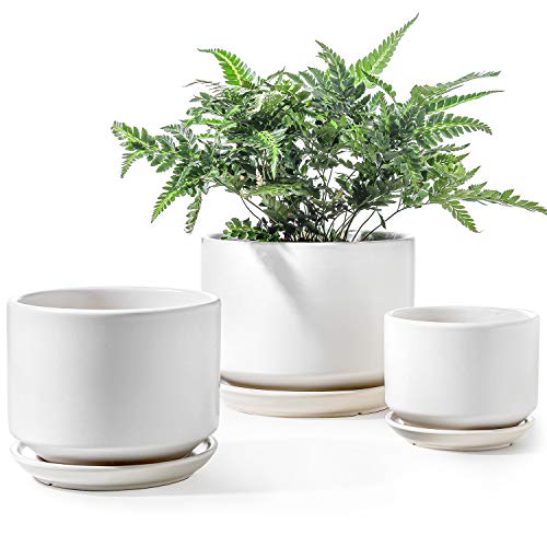 LE TAUCI 3er Pack Keramik Blumentöpfe, 11+13+17 cm Durchmesser Klein Übertöpfe Set, Blumentopf für Zimmerpflanzen mit Untersetzer und Abflussloch, Weiß von LE TAUCI