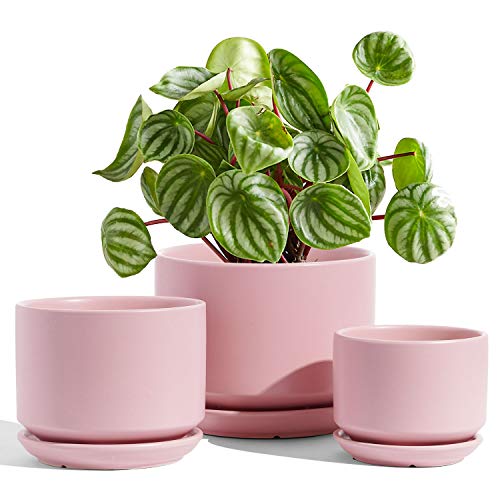 LE TAUCI 3er Pack Übertöpfe Keramik, 11+13+17 cm Durchmesser Klein Töpfe Set, Blumentopf für Zimmerpflanzen mit Untersetzer und Abflussloch, Rosa von LE TAUCI