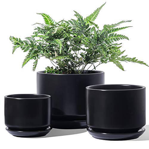 LE TAUCI 3er Pack Keramik Blumentöpfe, 11+13+17 cm Durchmesser Klein Übertöpfe Set, Blumentopf für Zimmerpflanzen mit Untersetzer und Abflussloch, Schwarz LE TAUCI 3er Pack Keramik Blumentöpfe, 11+13+17 cm Durchmesser Klein Übertöpfe Set, Blumentopf für Zimmerpflanzen mit Untersetzer und Abflussloch, Schwarz von LE TAUCI