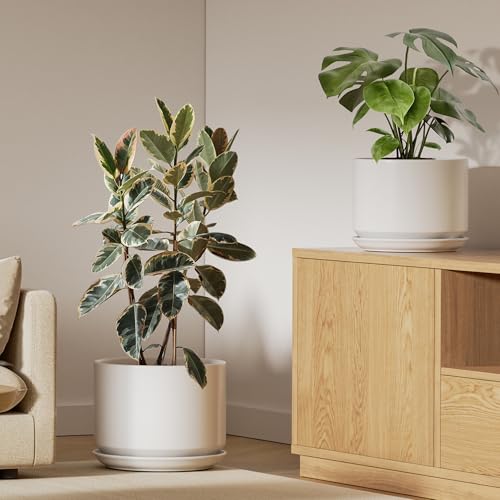 LE TAUCI Keramiktöpfe für Pflanzen, 2er-Set, 25,4 cm + 30,5 cm Blumentopf, langlebige und stilvolle Pflanzgefäße für Zimmerpflanzen mit Ablaufloch und Untersetzer, verschönern Sie die Ästhetik Ihres von LE TAUCI