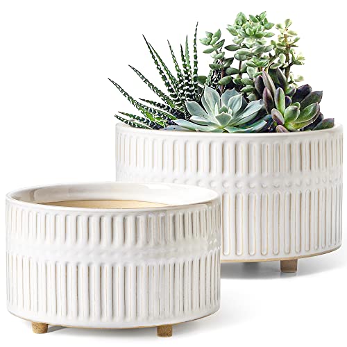 LE TAUCI Sukkulenten Topf, 16,5+20 cm Keramik Blumentopf für den Innenbereich mit Entwässerungslöchern, Moderner Zylindrischer Dekorativer Blumentopf, Geschenke für Mama, 2er-Set, Glasur Weiß von LE TAUCI