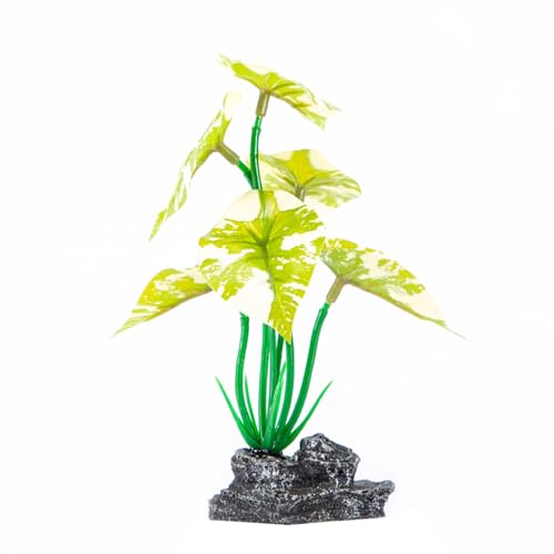 Aquarien Landschaft Lotus-Figur Harze Aquarien Dekorationen Kunst Terrarium Lebensraum Ornamente Foto Requisiten Aquarium Pflanze Dekoration Aquarien Landschaft Lotus-Figur Harze Aquarien Dekorationen Kunst Terrarium Lebensraum Ornamente Foto Requisiten Aquarium Pflanze Dekoration von LEADSDGE