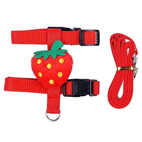Geschirr und Leine, Kostüm für kleine Tiere, Outdoor-Spaziergänge, niedliche Kleidung für Chinchilla, Welpen, kleine Hunde und Geschirr und Leine von LEADSDGE