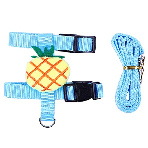Geschirr und Leine, Kostüm für kleine Tiere, Outdoor-Spaziergänge, niedliche Kleidung für Chinchilla, Welpen, kleine Hunde und Geschirr und Leine Geschirr und Leine, Kostüm für kleine Tiere, Outdoor-Spaziergänge, niedliche Kleidung für Chinchilla, Welpen, kleine Hunde und Geschirr und Leine von LEADSDGE