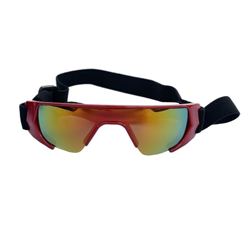 LEADSDGE Pet Shades Sonnenbrille für kleine Hunde im nördlichen Bereich mit verstellbarem Riemen für Outdoor-Sportarten, Hundesonnenbrille LEADSDGE Pet Shades Sonnenbrille für kleine Hunde im nördlichen Bereich mit verstellbarem Riemen für Outdoor-Sportarten, Hundesonnenbrille von LEADSDGE