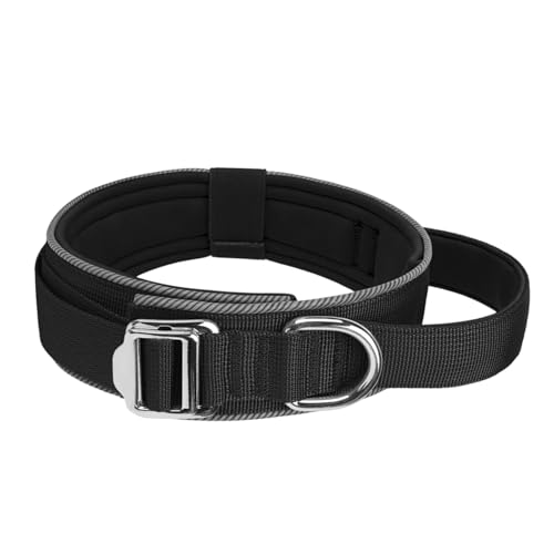 Night Safe Reflektierendes Hundehalsband, weich gepolstert, verstellbar, für Training und Kontrolle, Neopren, reflektierend von LEADSDGE