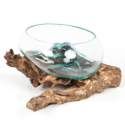 LEBENSwohnART Deko-Glas Drop-6 ca. L40cm Teak Wurzelholz Handarbeit Schale Vase Unikat Tischdekoration von LEBENSwohnART