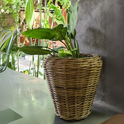 LEBENSwohnART Natur Rattan Pflanzkorb AMRUM Kubu Grey ca.H40cm Pflanztopf Übertopf Korb Aufbewahrungskorb LEBENSwohnART Natur Rattan Pflanzkorb AMRUM Kubu Grey ca.H40cm Pflanztopf Übertopf Korb Aufbewahrungskorb von LEBENSwohnART