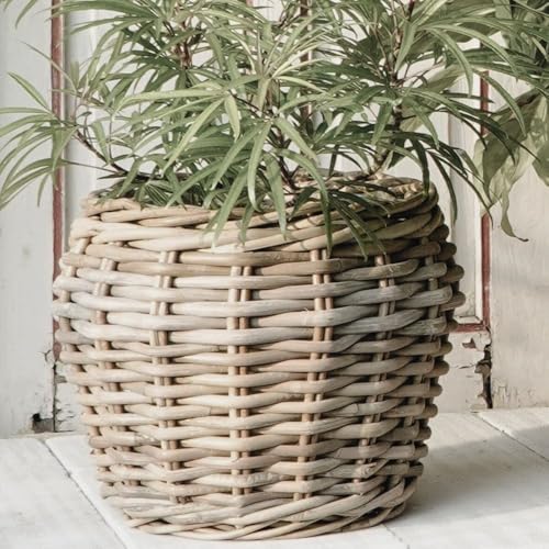 Natur Rattankorb GINI Natural Grey ca.52x36cm Pflanzkorb Übertopf Aufbewahrungskorb Korb von LEBENSwohnART