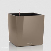 Lechuza - Pflanzgefäße cube Premium 40 Taupe hochglänzend All-in-One Lechuza - Pflanzgefäße cube Premium 40 Taupe hochglänzend All-in-One von LECHUZA