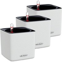 Lechuza - cube Color 14 Komplettset weiß Vorteilsset 3 Stück Lechuza - cube Color 14 Komplettset weiß Vorteilsset 3 Stück von LECHUZA