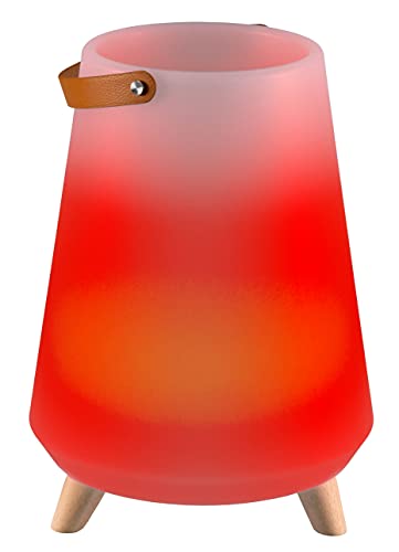 LED-Highlights Led Eisbehälter Getränkekühler Led Sektkühler 41x20x30 cm 16 Farben Aufladbar mit Akku und Fernbedienung Eiswürfelbehälter Led Eiskübel von LED-Highlights