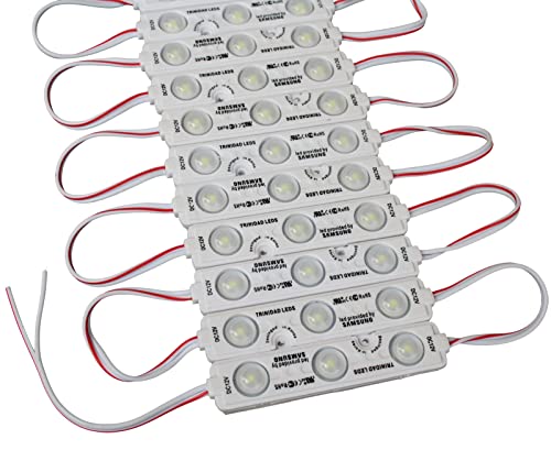 LED-Mafia 100x 10x Injektion Module Modul 1,5W SMD LED Chip IP 65 Beleuchtung Werbetechnik Schaukästen weiß warmweiß kaltweiß (6500K - kaltweiß, 100x) von LED-Mafia