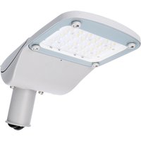 Straßenlaterne 30W 3900lm 4000K IP66 LumiLEDs (Philips) LED Sosen Netzteil grau von LED'S LIGHT PRO