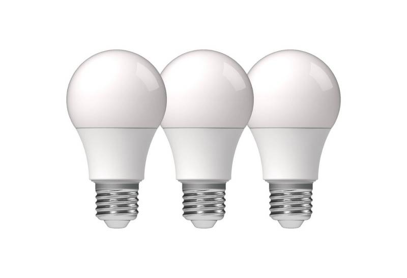 LED's light LED-Leuchtmittel 0620171 LED Glühbirne, E27, E27 8W neutralweiß Opal A60 3-Pack von LED's light