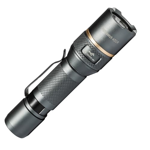 LED's work 700363 Akku LED-Taschenlampe 450 Lumen Zoom Dimmbar IPX7 USB-C von LED's work