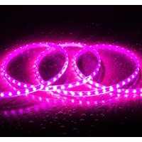 LED-Streifen 220V SMD2835 60LEDs/m Rosa IP65 Breite 12mm Schnitt alle 100cm Einfarbig von LEDKIA