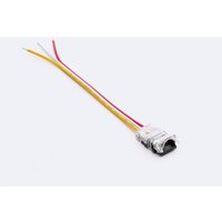 Clip-Verbinder mit Kabel IP20 für LED-Streifen rgbic von LEDKIA