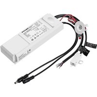 Notfalltreiber für LED-Panel Ausgang 10-50V dc 3W mit Batterie 3 WLiFePO4212 mm von LEDKIA